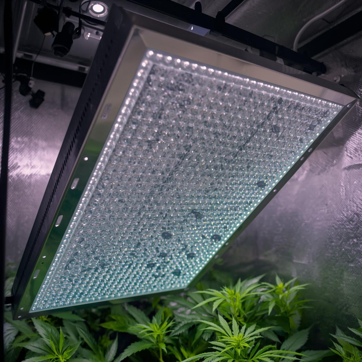 1000W-Equivalent LED Grow Panel for Grow Tents