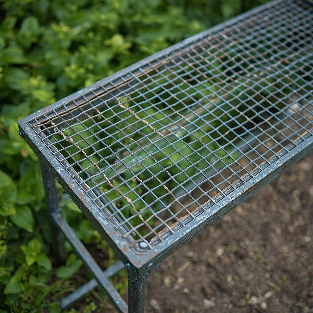 Greenhouse Bench Wire Mesh Table (4x8)
