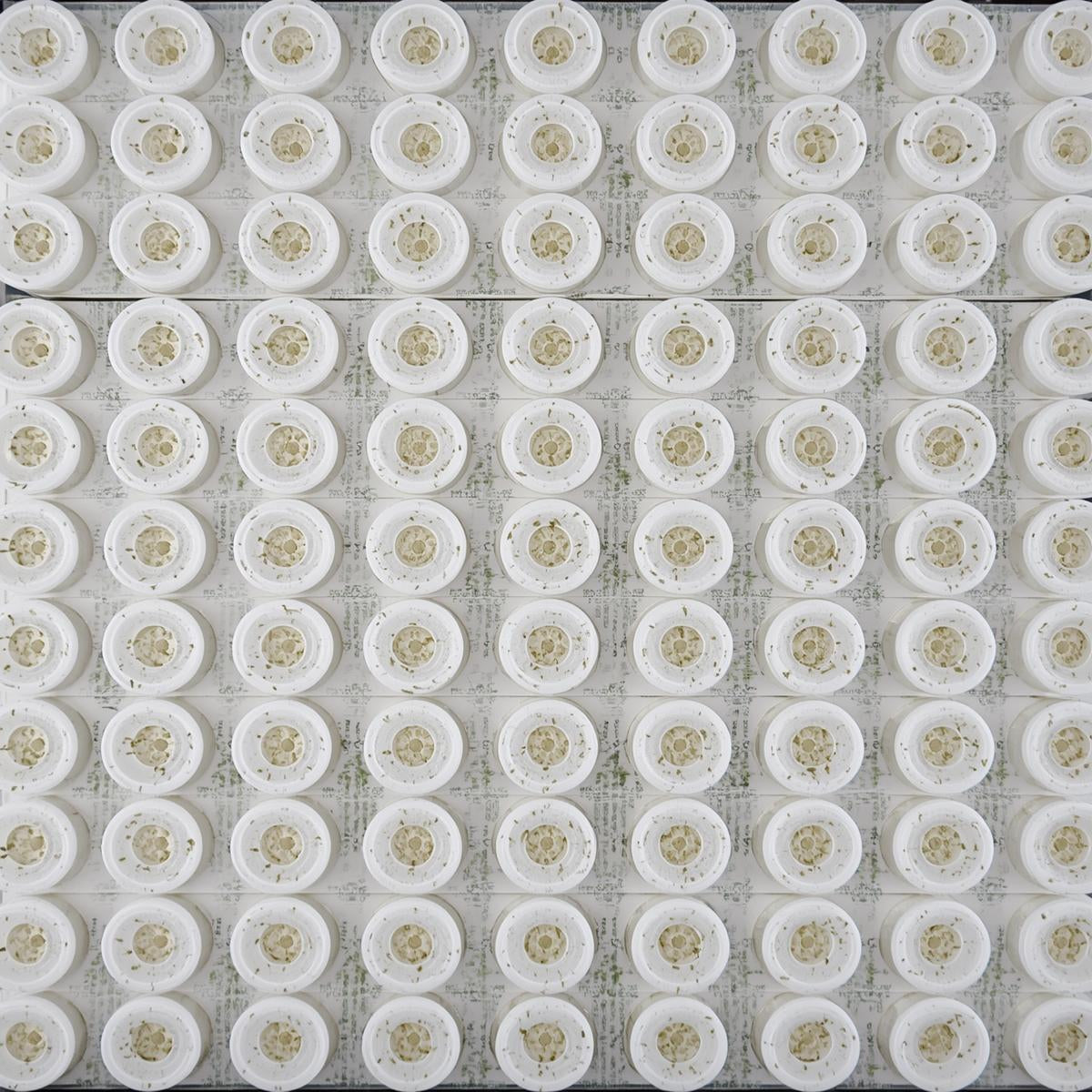 Hydroponic Seed Pod Refill Kit (50 Pods)