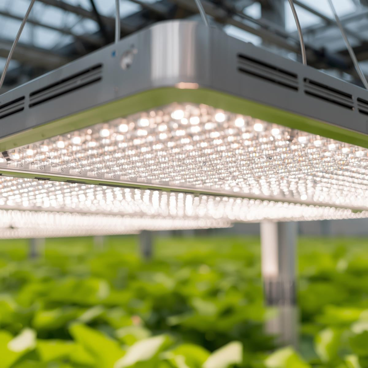 LED Grow Light 1000W Full Spectrum Panel for Greenhouse